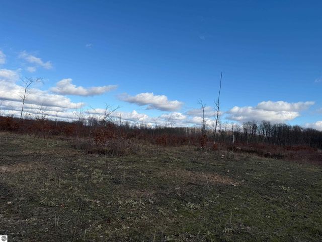 0 Mockingbird Lane, Kalkaska, MI 49646