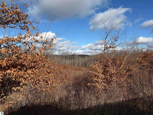 0 Mockingbird Lane, Kalkaska, MI 49646