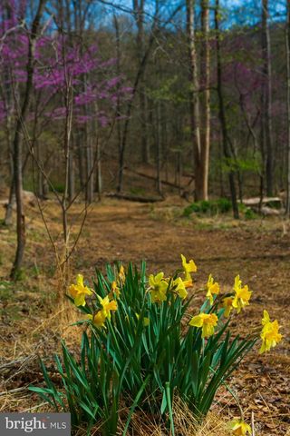 753 SEVEN SPRINGS RD, Charles Town, WV 25414
