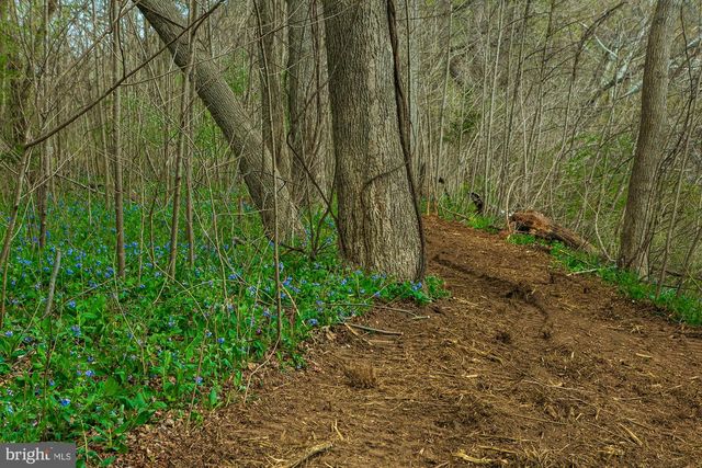 753 SEVEN SPRINGS RD, Charles Town, WV 25414