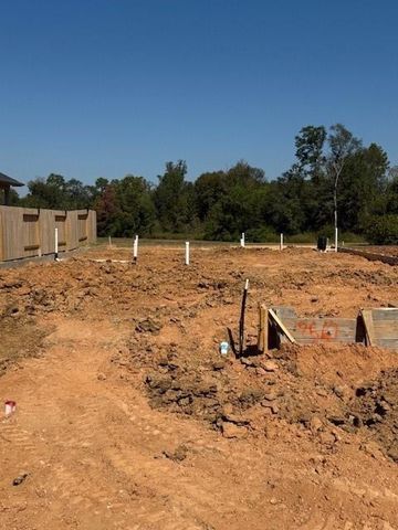 2567 Forest Cedar Lane, Conroe, TX 77301