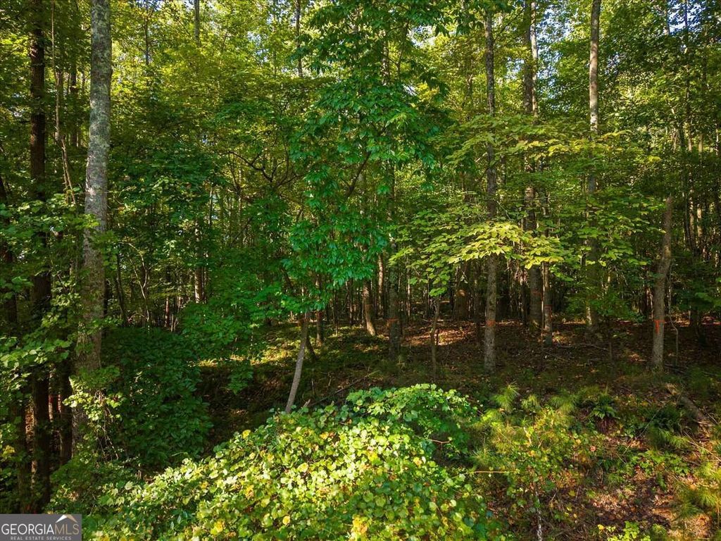 0 Cox Road, Roswell, GA 30075 — photo 3