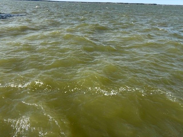 9 captains court, Streetman, TX 75859