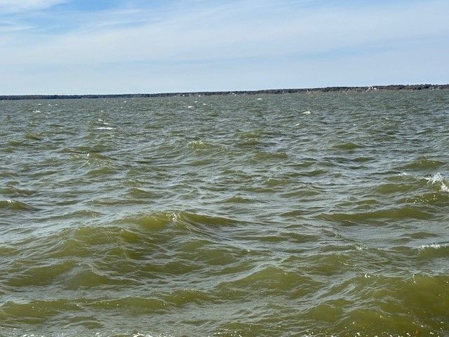 9 captains court, Streetman, TX 75859