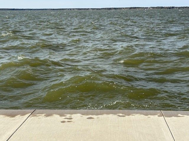 9 captains court, Streetman, TX 75859