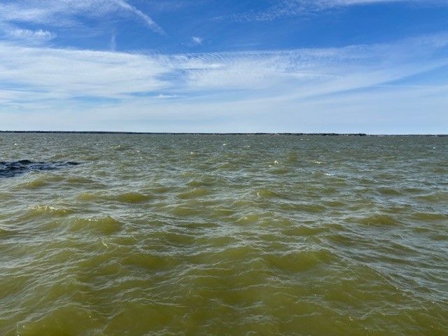 9 captains court, Streetman, TX 75859