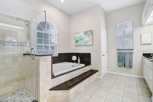 2203 VALRICO FOREST DRIVE, Valrico, FL 33594