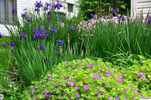 8141 Bancroft Avenue, Lincoln, NE 68506