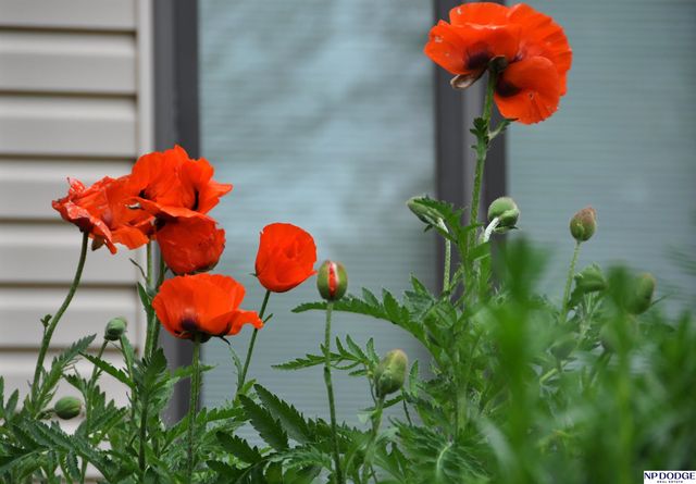 8141 Bancroft Avenue, Lincoln, NE 68506