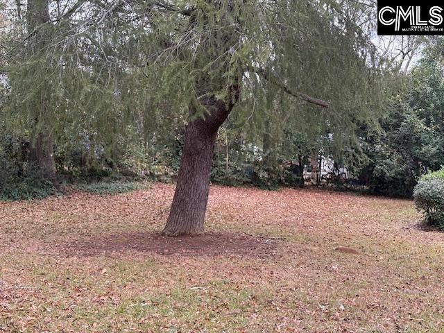 3436 Margrave Road, Columbia, SC 29203