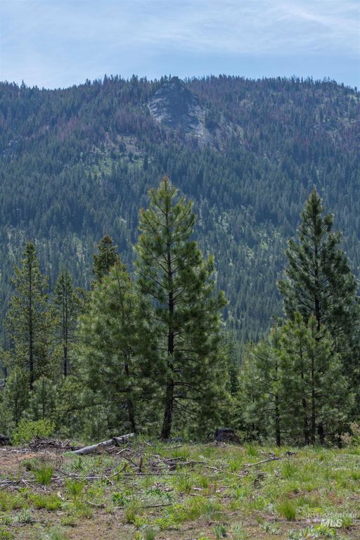 TBD 2 Warm Lake Road, Cascade, ID 83611 photo 3