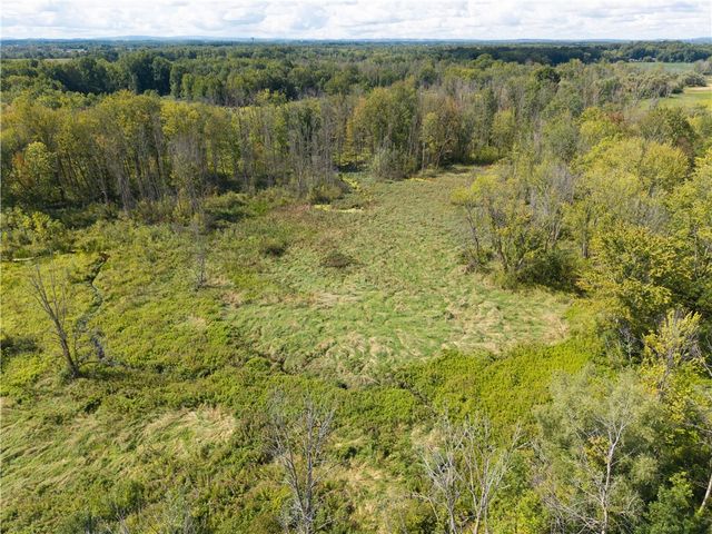 4749 Herendeen Road, Farmington, NY 14548