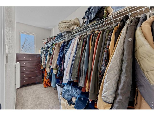 10596 Forester Pl, Longmont, CO 80504