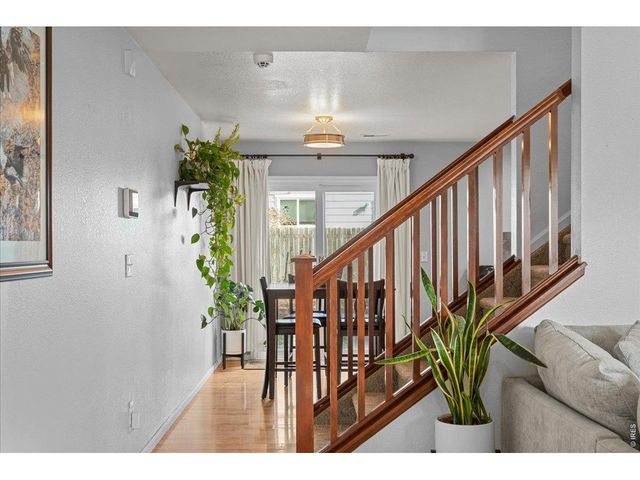 10596 Forester Pl, Longmont, CO 80504