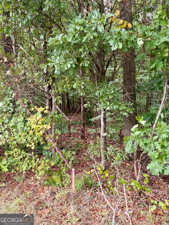 0 Bennett Road LOT 2, Homer, GA 30547 — photo 3