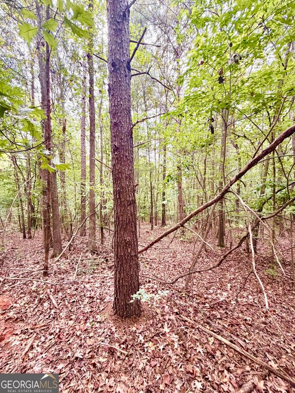 0 Bennett Road LOT 2, Homer, GA 30547 — photo 5