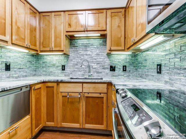 1 Towers Park Ln Apt 1803, San Antonio, TX 78209