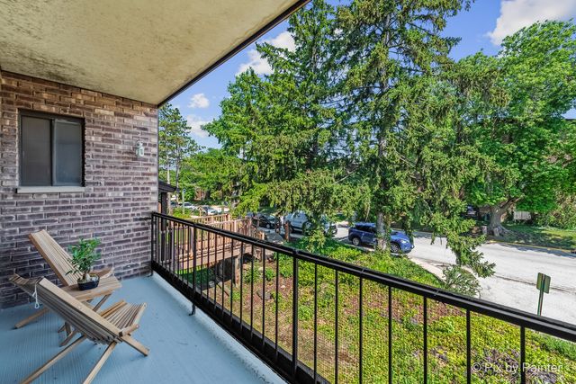 61 W Pier Drive 201, Westmont, IL 60559