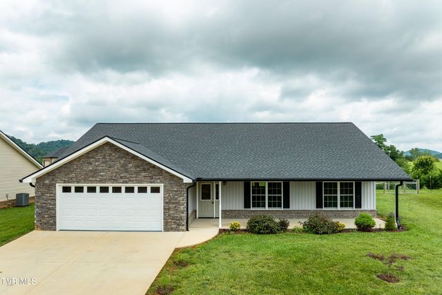 595 Pleasant Valley Road, Jonesborough, TN 37659