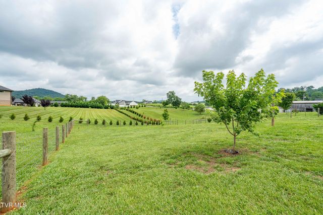 595 Pleasant Valley Road, Jonesborough, TN 37659