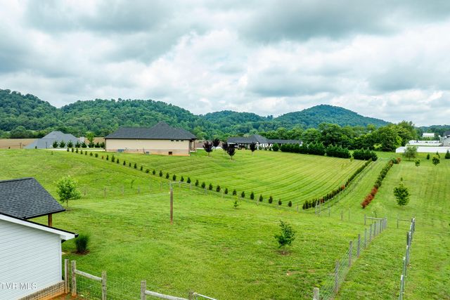 595 Pleasant Valley Road, Jonesborough, TN 37659