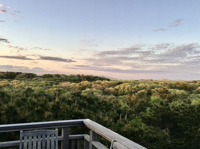 9 Thistlemore, Provincetown, MA 02657