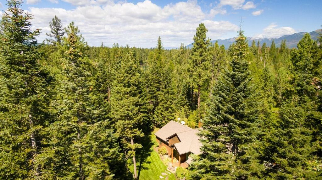 29545 Drifting Way, Bigfork, MT 59911 photo 5