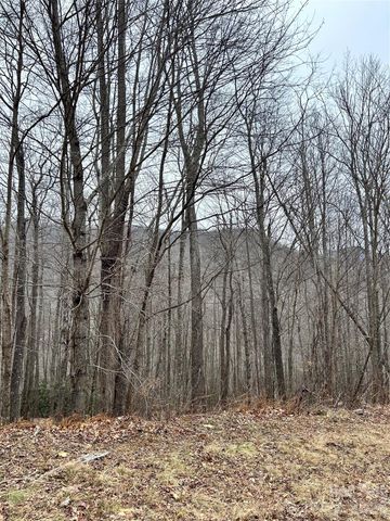 104 &105 Tenderfoot Trail, Maggie Valley, NC 28751