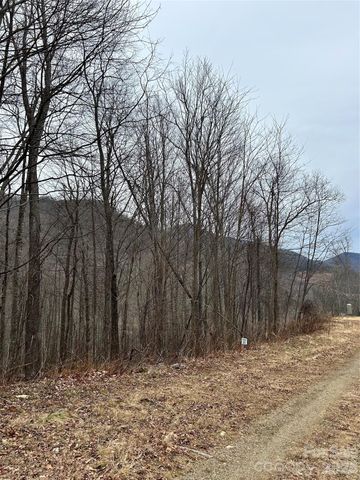 104 &105 Tenderfoot Trail, Maggie Valley, NC 28751