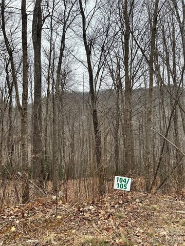 104 &105 Tenderfoot Trail, Maggie Valley, NC 28751