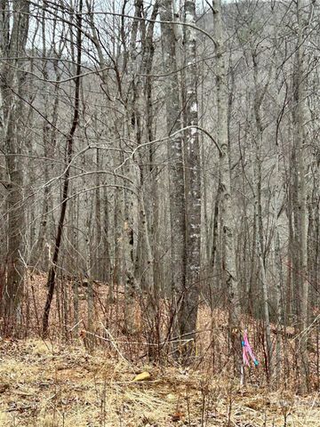 104 &105 Tenderfoot Trail, Maggie Valley, NC 28751