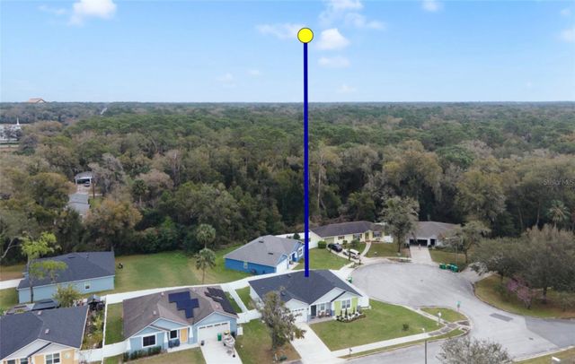 113 PLUMOSUS PARK DR, Deland, FL 32724