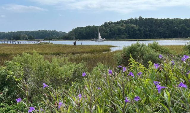 4396 Baldwin Ave Apt 141, Little River, SC 29566