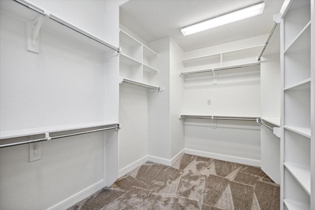 95 N Mews Wood Court, The Woodlands, TX 77381