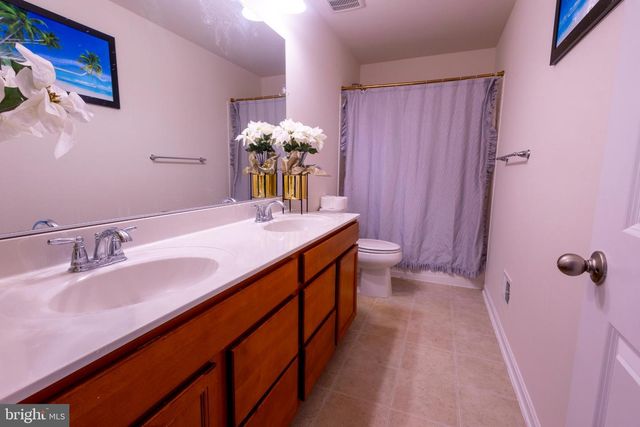 16028 EAGLE ROOST CT, Woodbridge, VA 22191