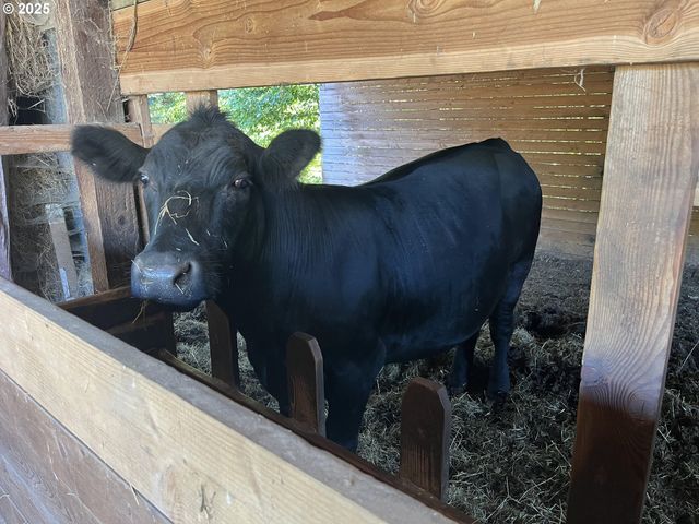 21076 Nw Green Mountain Rd, Banks, OR 97106