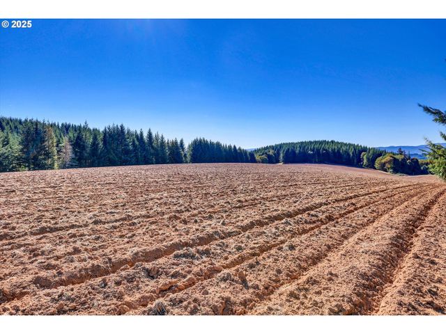 21076 Nw Green Mountain Rd, Banks, OR 97106