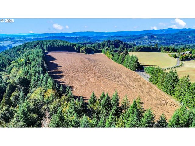 21076 Nw Green Mountain Rd, Banks, OR 97106