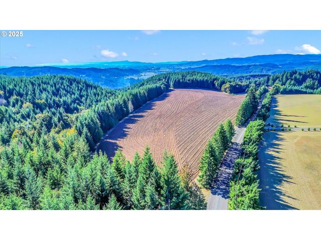 21076 Nw Green Mountain Rd, Banks, OR 97106