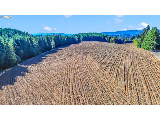 21076 Nw Green Mountain Rd, Banks, OR 97106