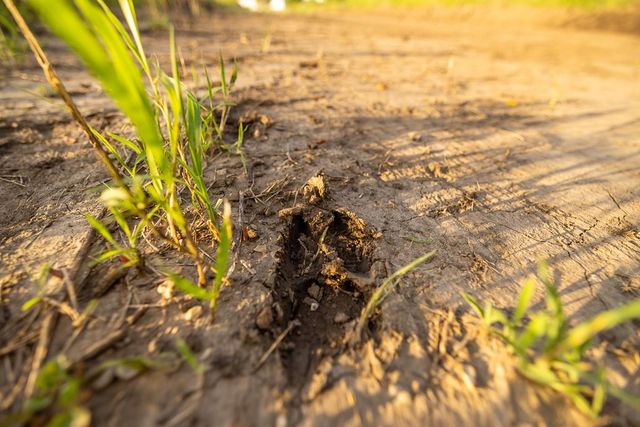 E 267th Road, Harrisonville, MO 64701