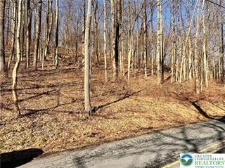 6252 Hickory Road, Washington Twp, PA 18080