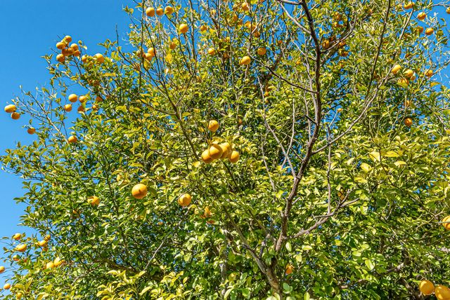 792 Pearl Sand Drive, Mary Esther, FL 32569