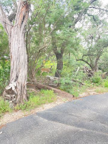 781 Lookout Dr, Lakehills, TX 78063