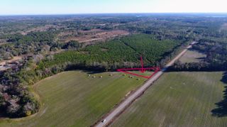 0 Rocks Pond Road Lot X, Eutawville, SC 29048