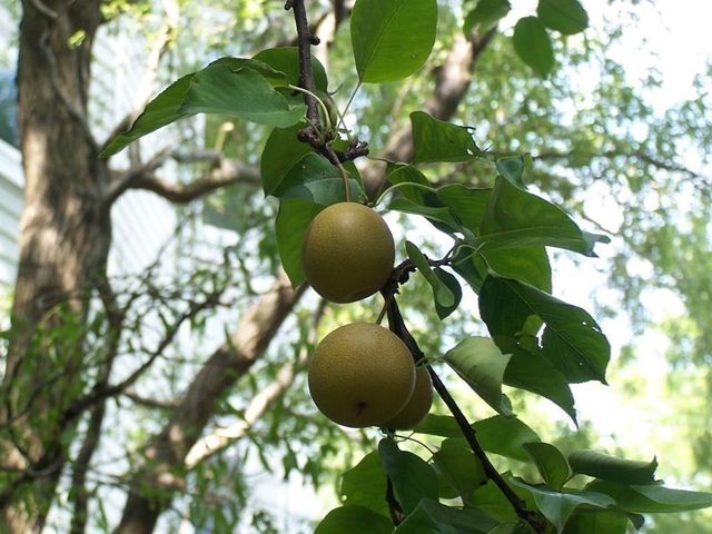 89 University Road, Brookline, MA 02445