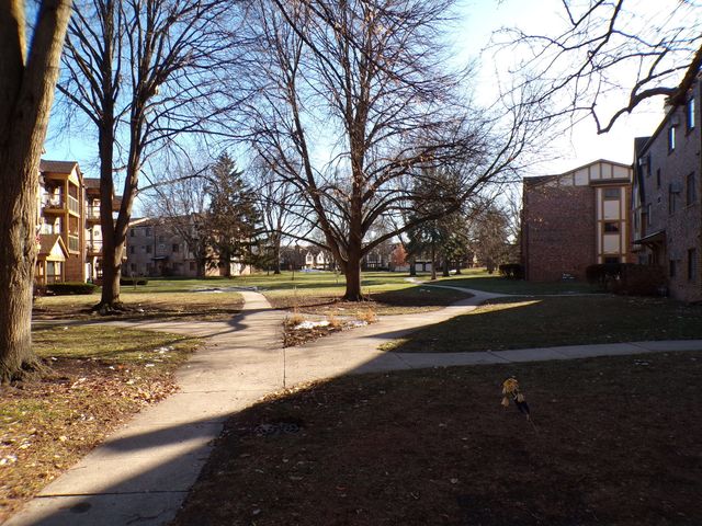 809 S Dwyer Avenue 3E, Arlington Heights, IL 60005