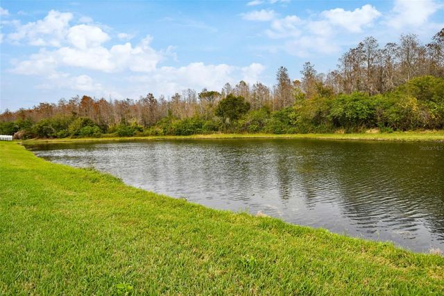 4215 SETTLERS COURT, St Cloud, FL 34772