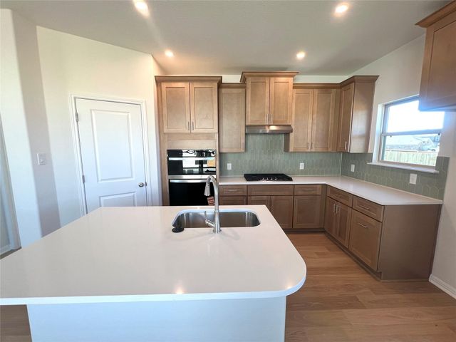 338 Dogvane CIR, Kyle, TX 78640