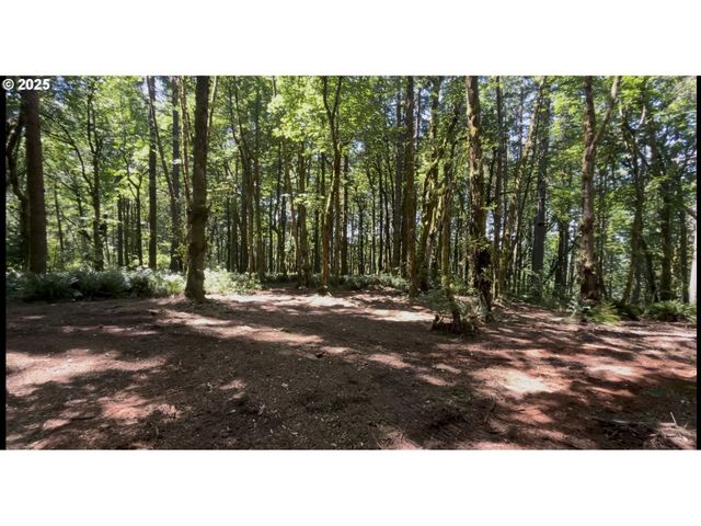 0 Ne 171st Ct, Yacolt, WA 98675
